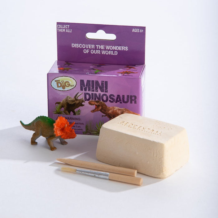 Mini Dinosaur Excavation Kit