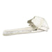 Replica Ganges River Dolphin Skull