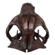 Replica Giant Beaver Skull