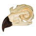 Replica Golden Eagle Skull