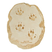 Replica Gray Fox Footprints