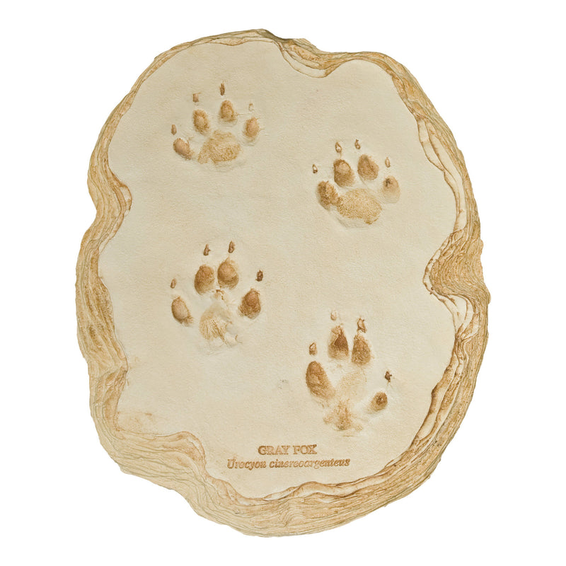Replica Gray Fox Footprints