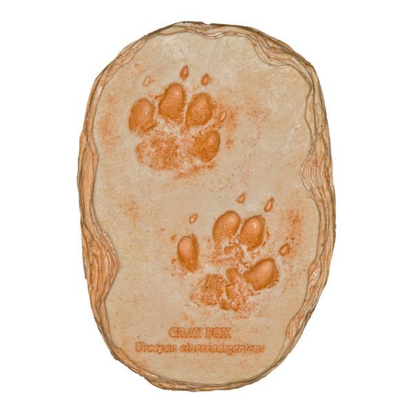 Gray Fox Footprint