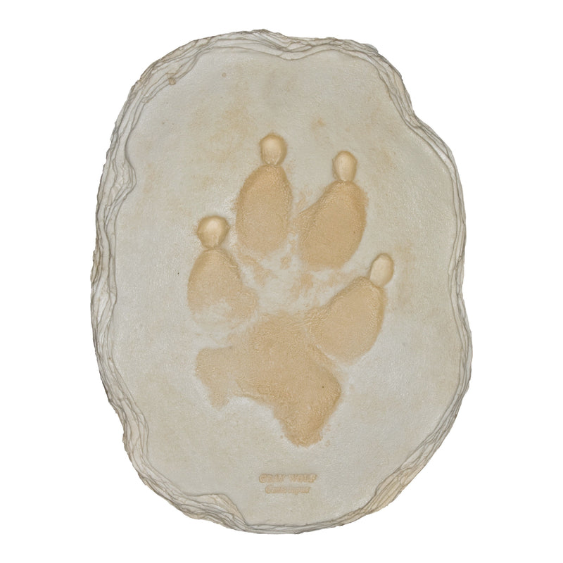 Replica Gray Wolf Footprint