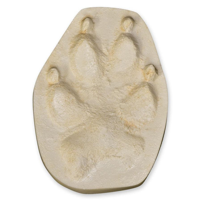 Gray Wolf Negative Footprint