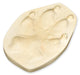 Gray Wolf Negative Footprint