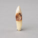 Real Human Tooth with Decay - Single