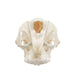 Real Springhare Skull
