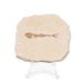 Real Fossilized Fish Slab - One Fish (Single)