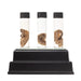 Real Tentacle Wet Specimen - Single