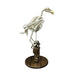 Replica Bald Eagle Skeleton - Articulated