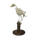 Replica Bald Eagle Skeleton - Articulated
