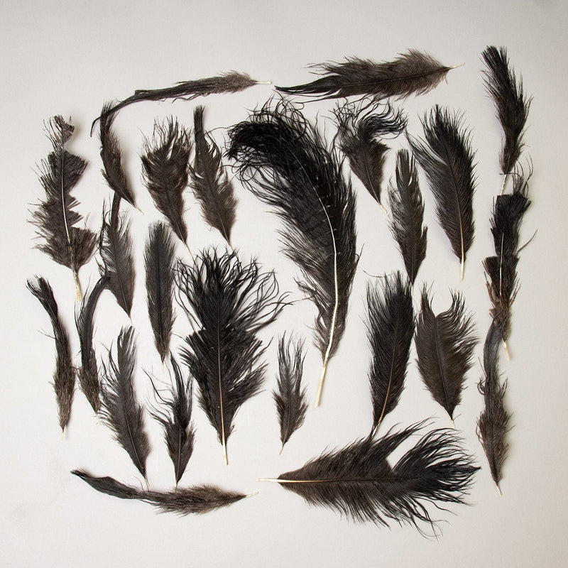 Real Bag-O-Ostrich Feathers