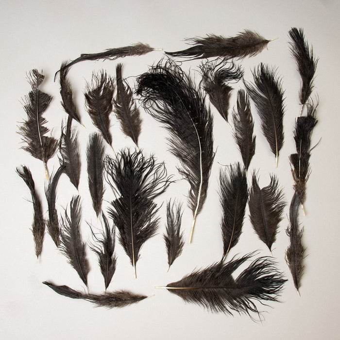 Real Bag-O-Ostrich Feathers