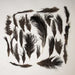 Real Bag-O-Ostrich Feathers
