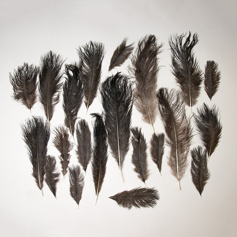 Real Bag-O-Ostrich Feathers