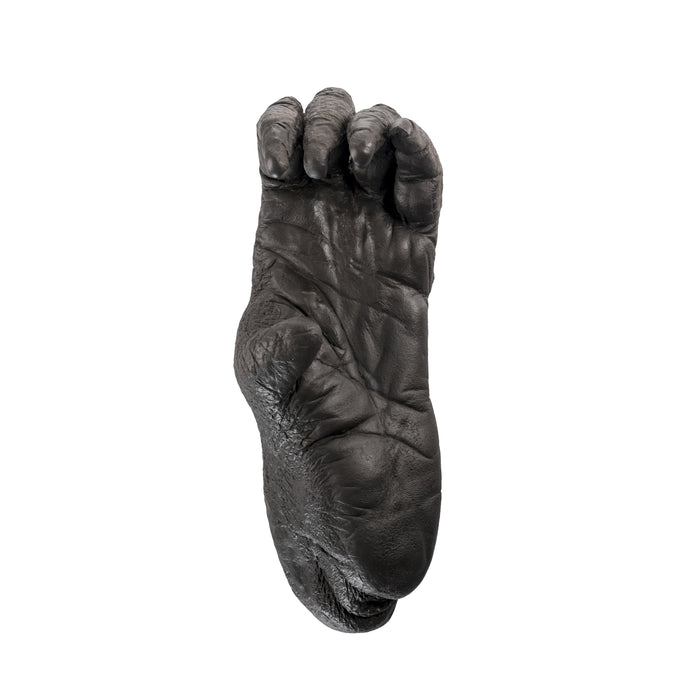 Replica Sumatran Orangutan Female Left Foot