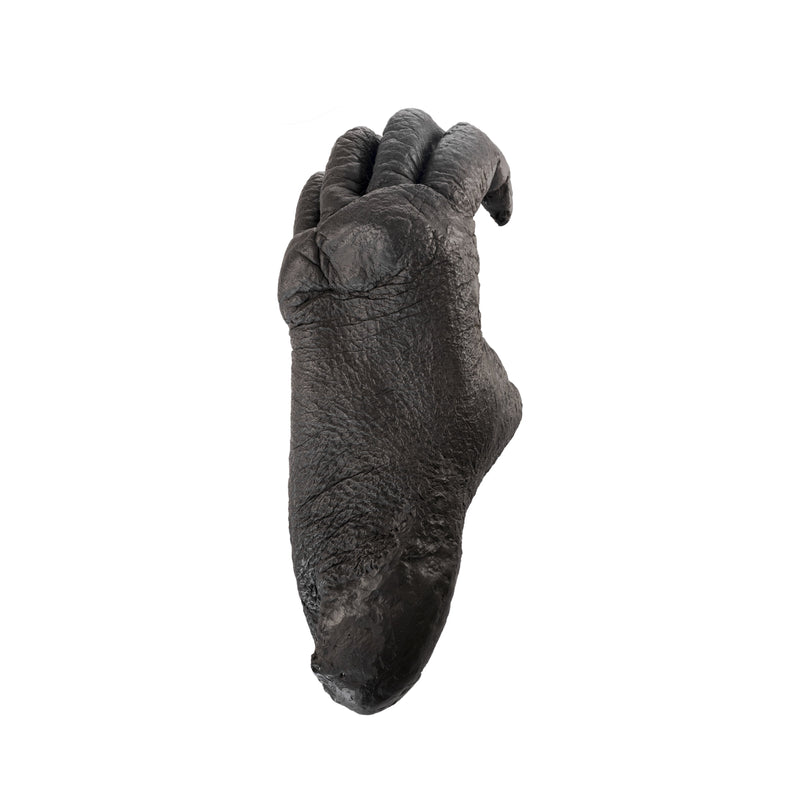 Replica Sumatran Orangutan Left Foot - Female