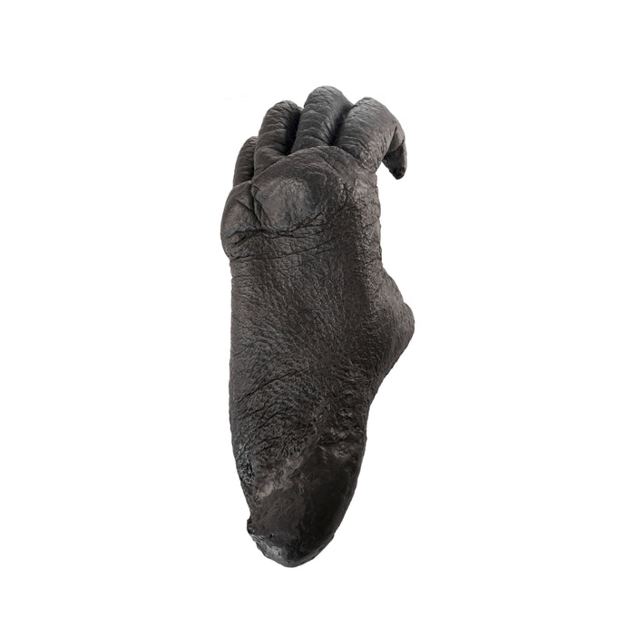 Replica Sumatran Orangutan Female Left Foot