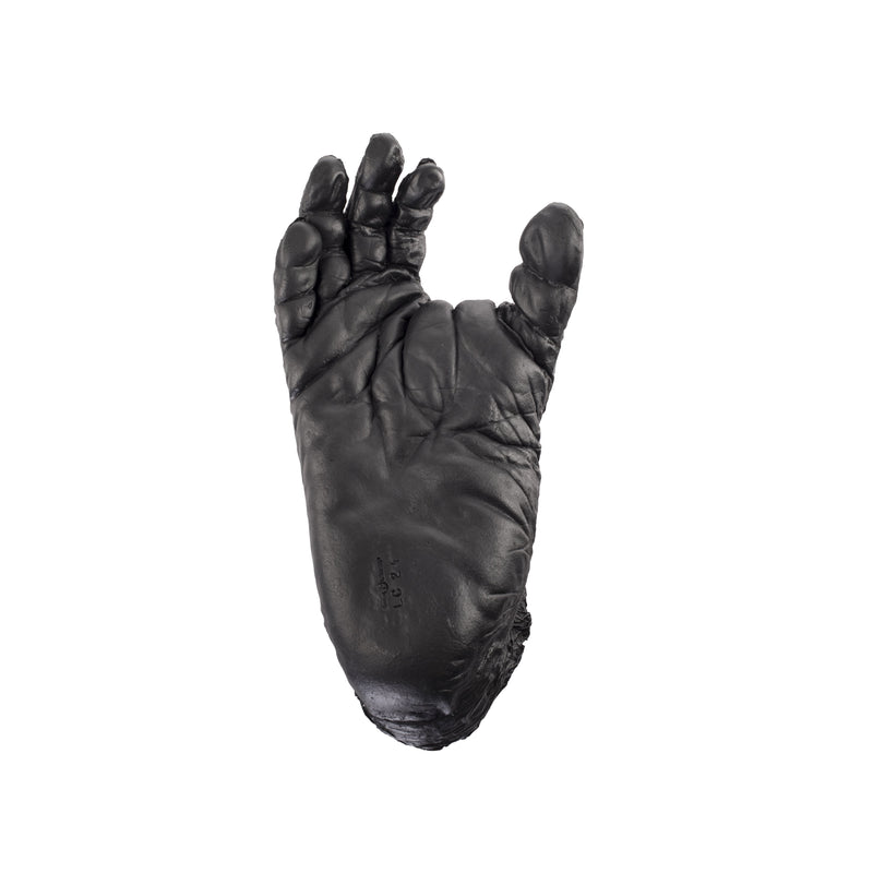 Replica Chimpanzee Right Foot - Male