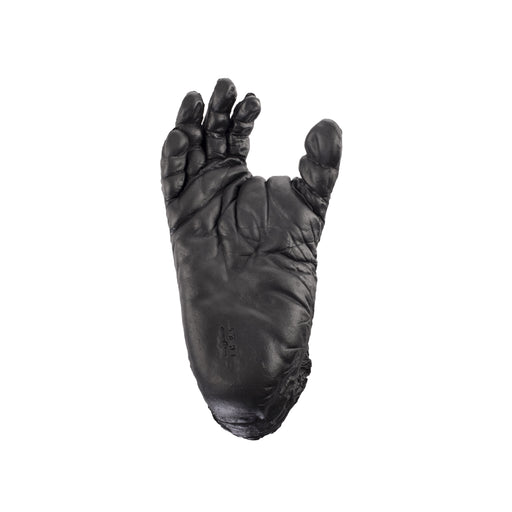 Replica Chimpanzee Right Foot - Male