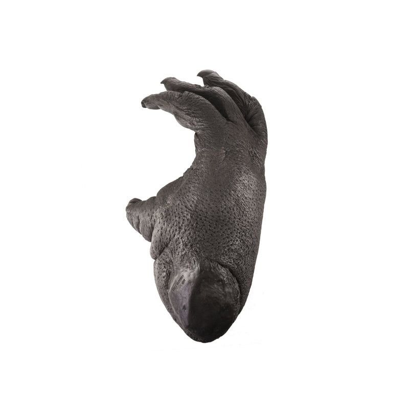 Replica Sumatran Orangutan Right Foot - Male