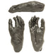 Replica Bonobo Foot Life Cast