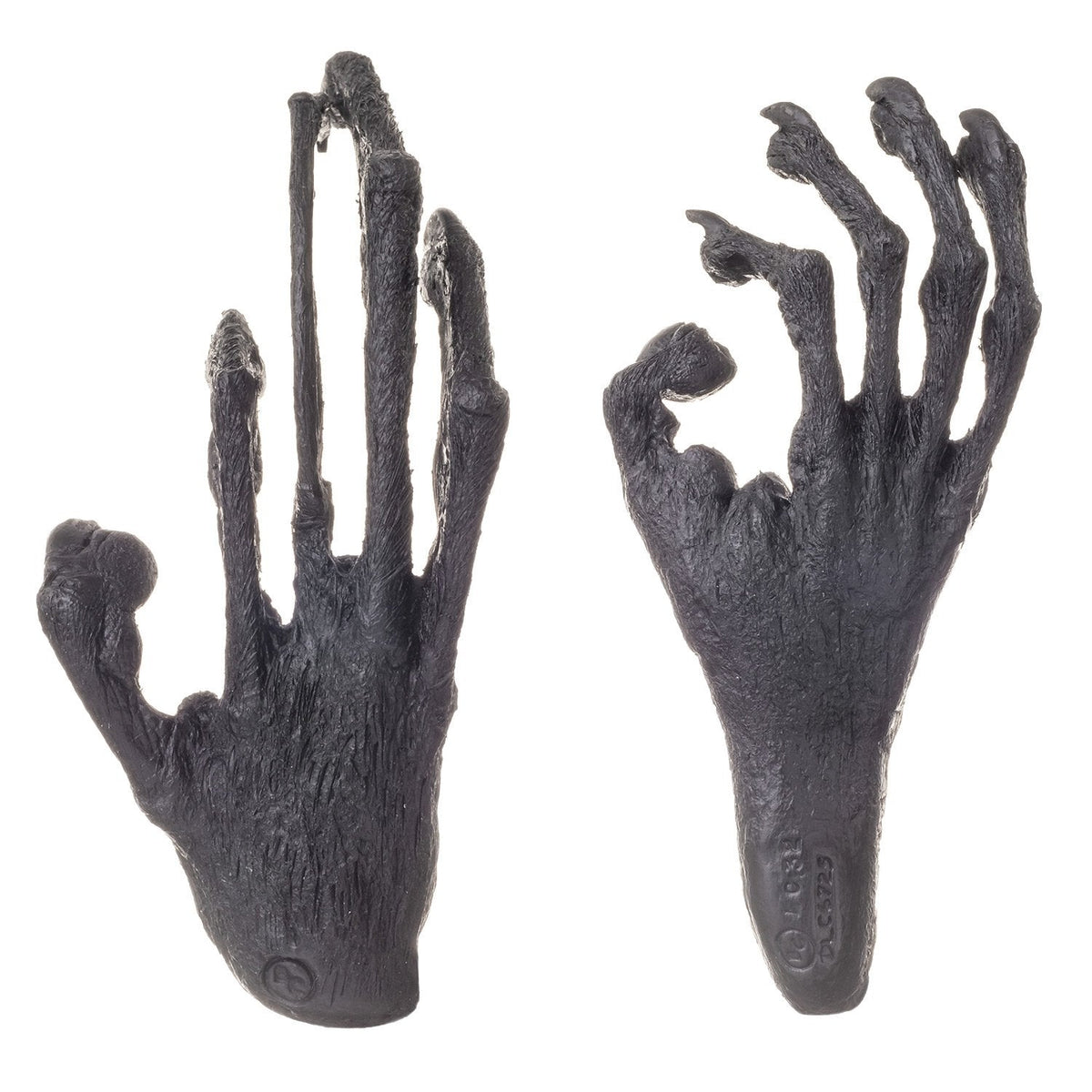 Aye Aye Hand