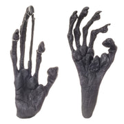 Replica Aye-aye Hand and Foot