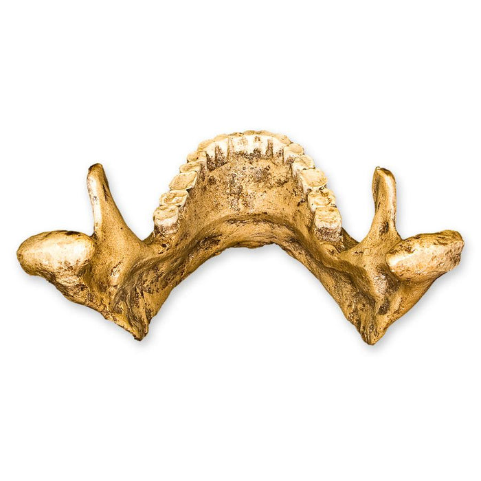 Replica Tabun 3 Jaw