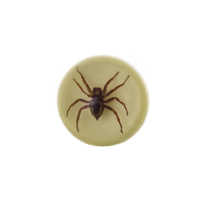 Real Spider in Acrylic Wine Stopper (Glow-in-the-Dark)