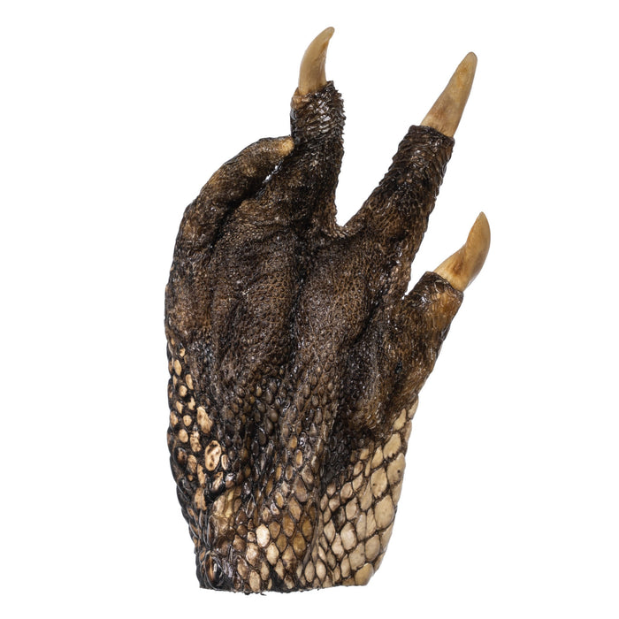 Real Freeze-dried Alligator Foot