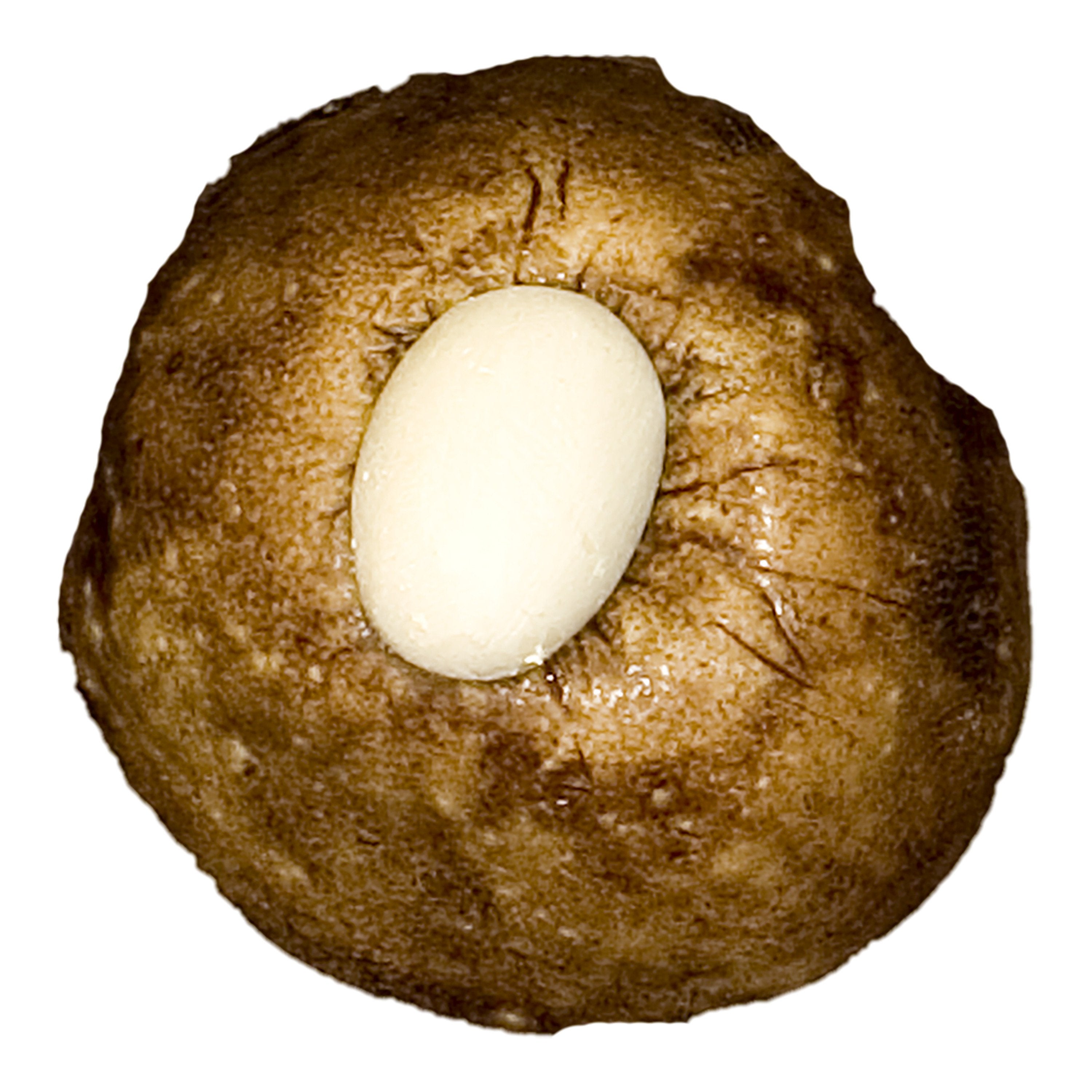 Replica Ruby-throated Hummingbird Egg with Nest (15mm) For Sale