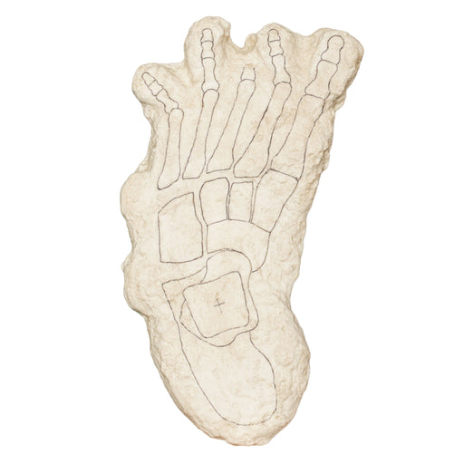 Replica Bigfoot Negative Footprints