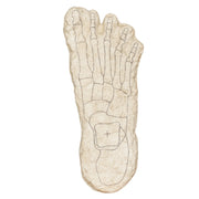 Replica Bigfoot Negative Footprints