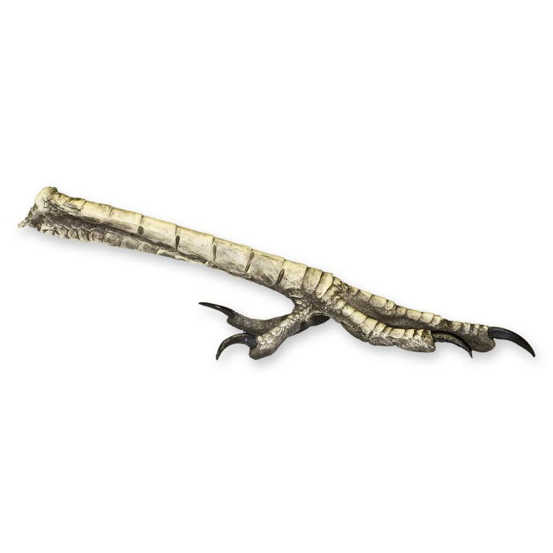 Replica Roadrunner Foot