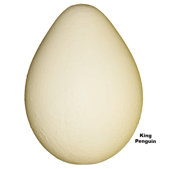 Replica King Penguin Egg (101.8 mm)