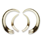 Replica Warthog Skull