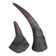 Replica Black Rhinoceros Horns