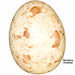Replica Northern Cardinal Egg (27mm)