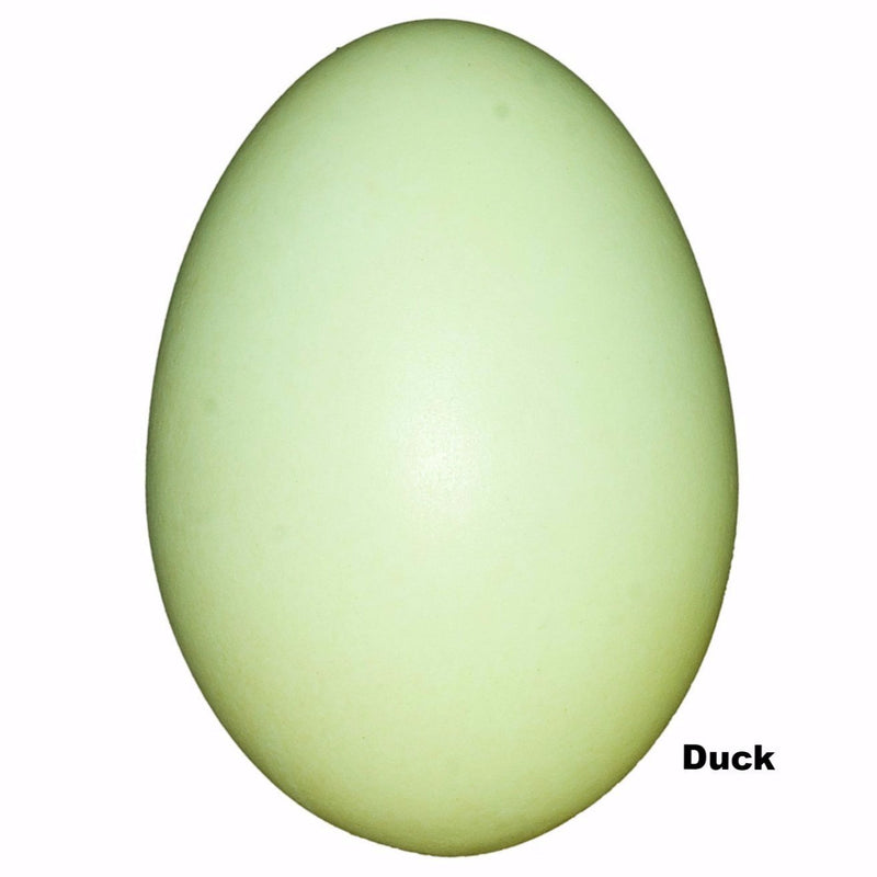 Replica Duck Egg (54 mm)