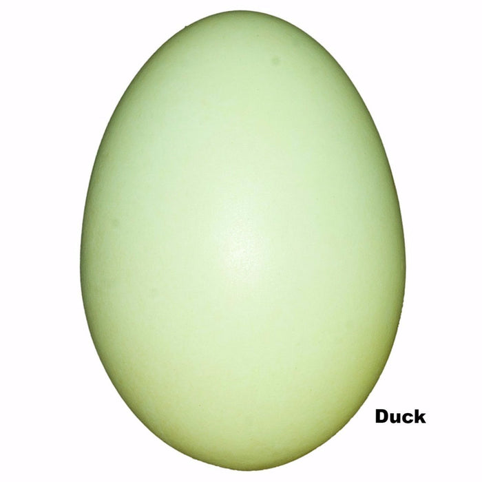 Replica Duck Egg (60mm)