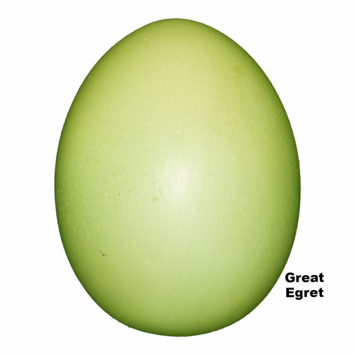 Replica Great Egret Egg (59mm)