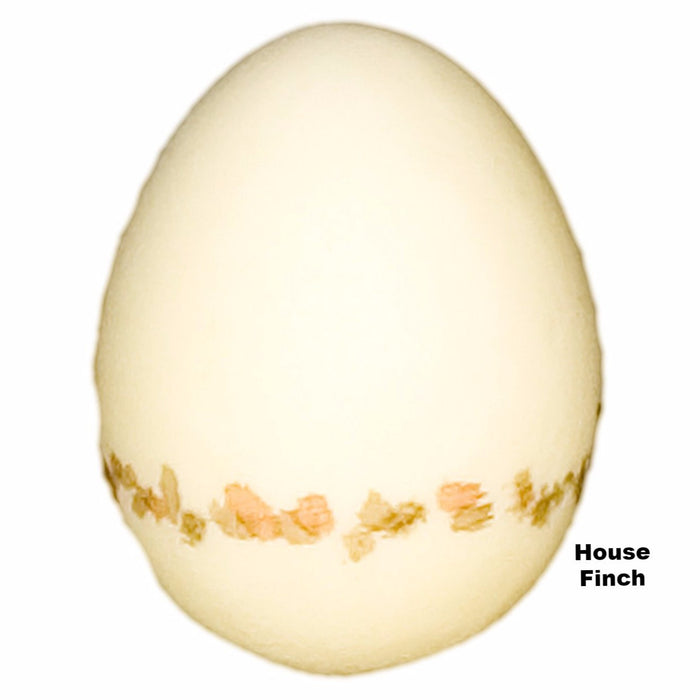 Replica House Finch Egg (20mm)
