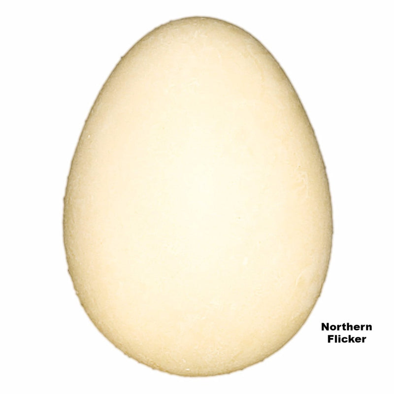 Replica Northern Flicker Egg (27 mm)