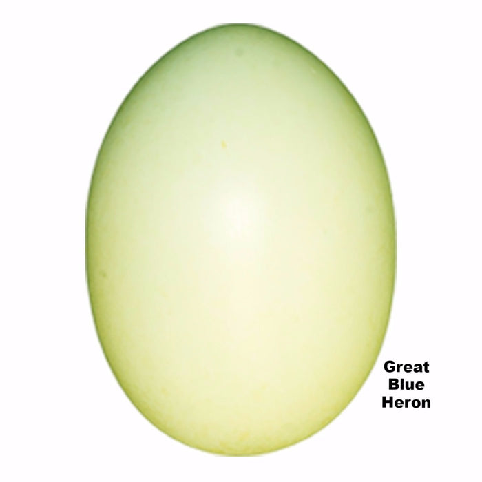 Replica Great Blue Heron Egg (70 mm)