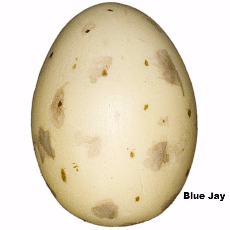 Replica Blue Jay Egg (29mm)
