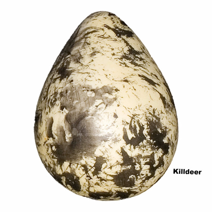 Replica Killdeer Egg (38mm)