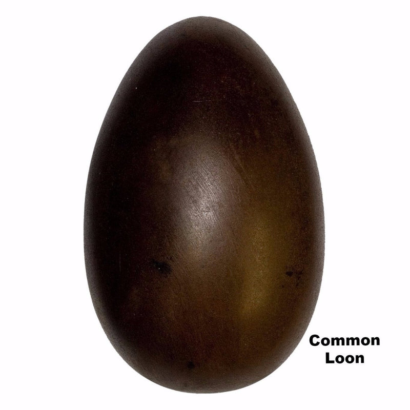 Replica Common Loon Egg (84mm)
