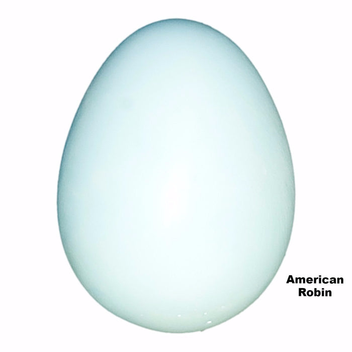 Replica American Robin Egg (29mm)